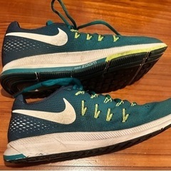 ナイキ エアズーム ペガサスの画像