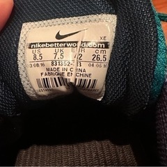 ナイキ エアズーム ペガサスの画像