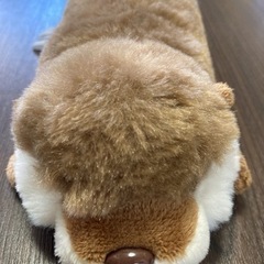 美品　アクアマリン　カワウソ　ぬいぐるみの画像