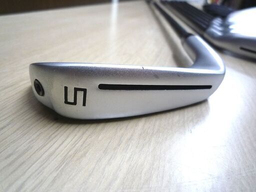 ゴルフクラブ アイアンセット テーラーメイド P790 FORGED TUNGSTEN 5～9 PW Dynamic Gold 105