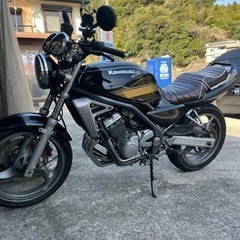 バリオス1型の画像