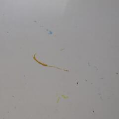 テーブルの画像