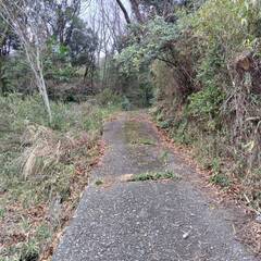 紀美野町吉野の住宅と山林