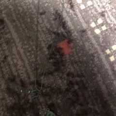 アリス 水曜日のアリス ネックレスの画像