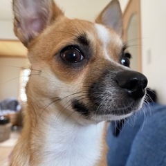 決まりましたありがとうございました