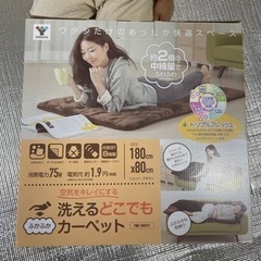 洗えるどこでもカーペット‼️