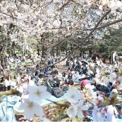 4/7(日)100名集まるお花見😊🌸🍡お友達作り🌸🐝