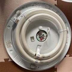 シーリングライトの画像