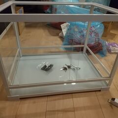 爬虫類　ケージ　パンテオン　WH6045