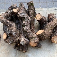 薪、マキ、伐採した木　No.③の画像