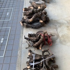 薪、マキ、伐採した木　No.③の画像