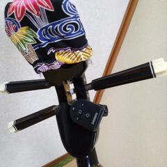 三線(本張り)の画像