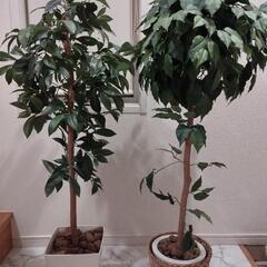 【日本製】光触媒フェイクグリーン　2本セット　観葉樹