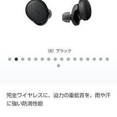ソニー ワイヤレスイヤホン wf-xb700の画像