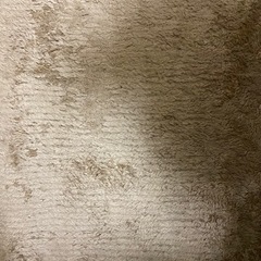 3/4迄, 中古品, ニトリ, カーペット, 130×180