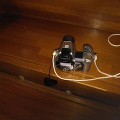 デジカメの画像