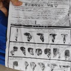 サンシェルター（稀）の画像
