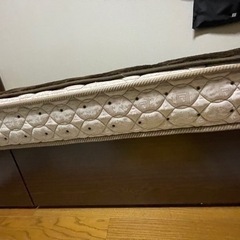 家具 カーペット/マット/ラグの画像