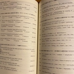 処分！大学受験　英文法ファイナル問題集　標準編　桐原書店の画像