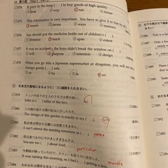 処分！大学受験　英文法ファイナル問題集　標準編　桐原書店の画像