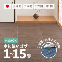楽天人気商品☆ラグビニール風ゴザ