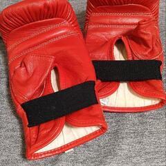 格闘技グローブの画像