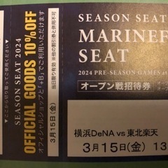 パキラ様へ　3/15（金） 横浜スタジアム　ベイスターズ　チケット
