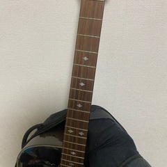 エピフォン エレアコ PR350CEの画像