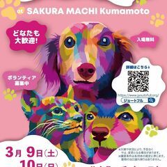 保護犬猫の楽しい譲渡会 at サクラマチクマモト！