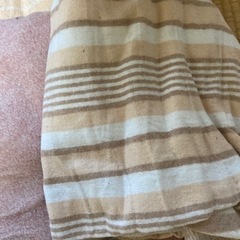 家電 季節、空調家電 電気毛布の画像