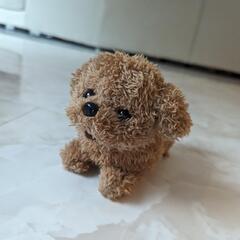 プードルオモチャの画像