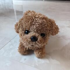 プードルオモチャ