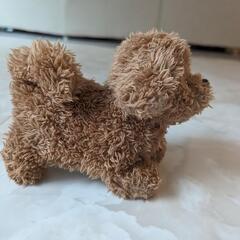 プードルオモチャの画像