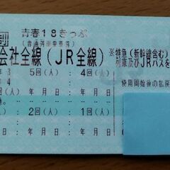 青春18きっぷ(4回4人分)