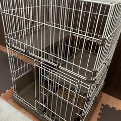 引き取り決定しました！猫ゲージ