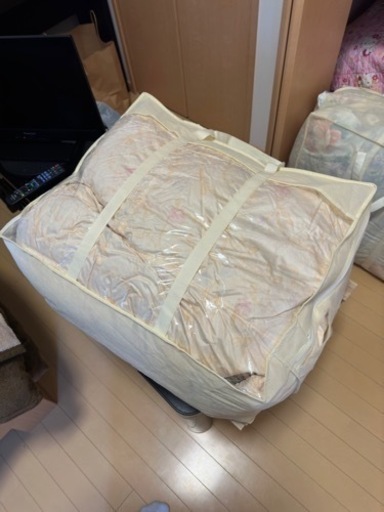 東洋羽毛掛け布団S