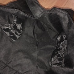 スポーツバッグ　アウトドアバッグ　テントバッグ　美品の画像