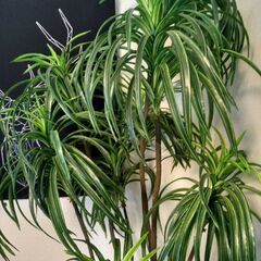 大型フェイクグリーン②