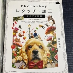 値下げ　本　Photoshop Word Pressの画像