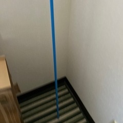 美品　虫取り網の画像