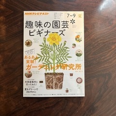 趣味の園芸ビギナーズ　3冊（冬春夏）2016年　1〜3.4〜6.7〜9月号の画像
