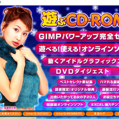📗💿パソコン系雑誌付録💿📗  遊ぶCD･ROM （付録CDのみ）の画像