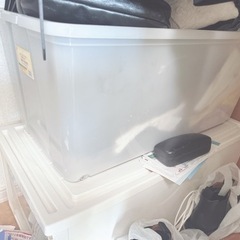 家電 生活家電 洗濯機