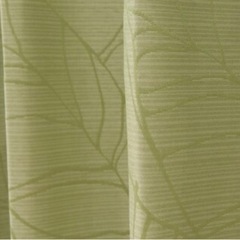 超値下げ！おしゃれな緑のカーテンの画像