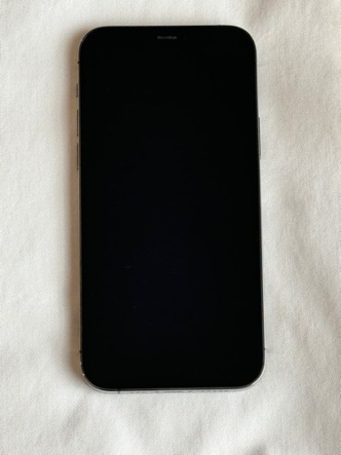 iPhone12 Pro 256GB