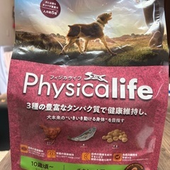 ドッグフード　今月末まで
