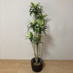 観葉植物　フェイクグリーン