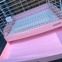 うさぎ　　ゲージの画像