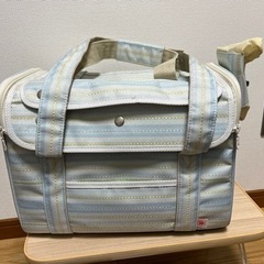 【決定】太刀魚ウキ釣り道具セット（電気ウキ2本＋未開封太刀魚仕掛け）と小動物キャリーの画像