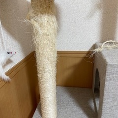 キャットタワーの画像